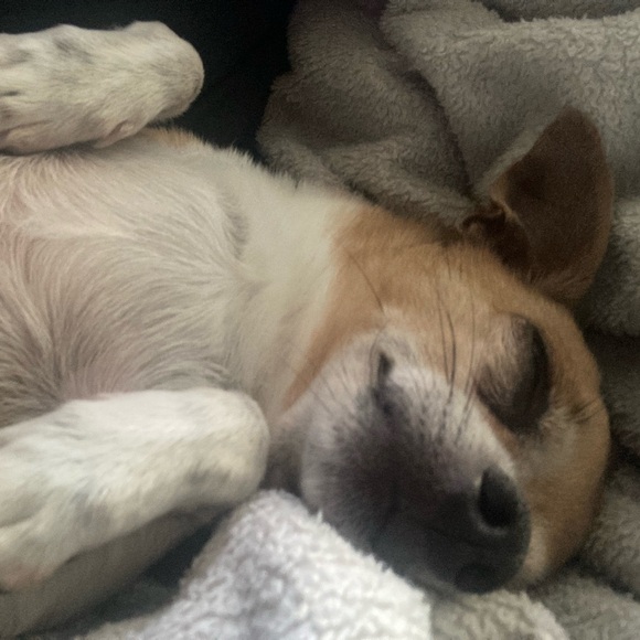 Meet your Posher, Ewa - Picture 1 of 2